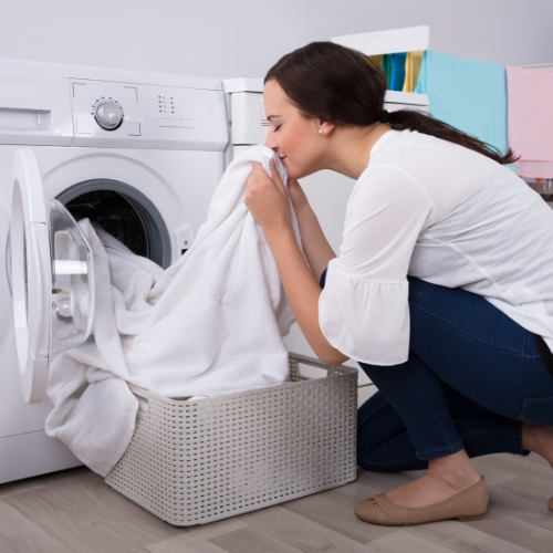 Best Laundry Franchise services