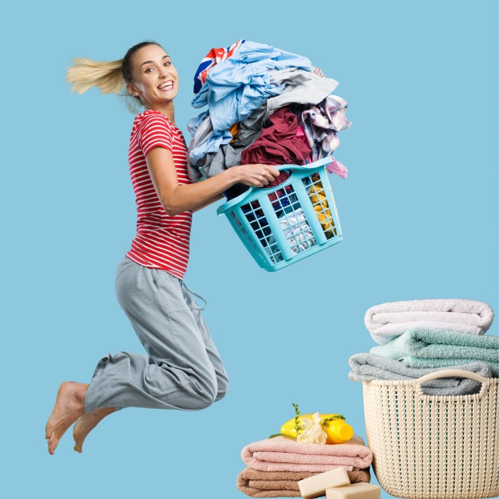 Best Laundry Franchise services