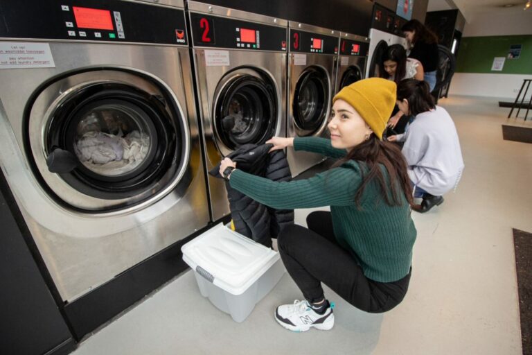 Exploring Niche Markets in the Laundry Franchise Industry